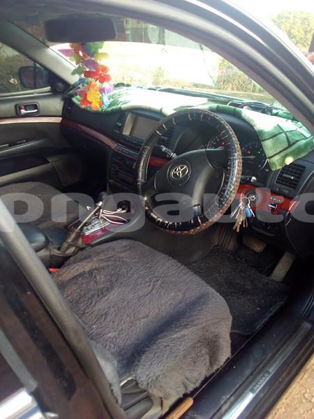 Big with watermark 40694493 332802480788125 555543733290926080 n