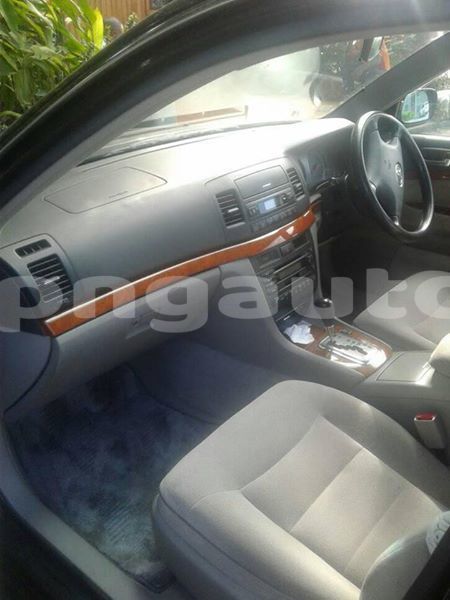 Big with watermark 41602515 880679998808586 5304196615270039552 n