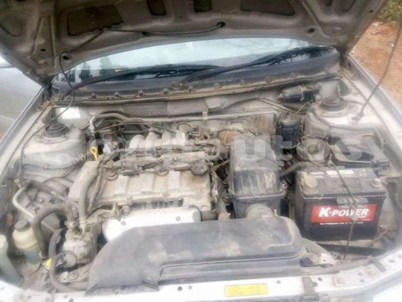 Big with watermark 41641429 2290632927826186 961983811430645760 n