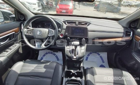 Buy Import Honda CRV Other Car in Import - Dubai in Enga Buy Import Honda CRV Other Car in Import - Dubai in Enga