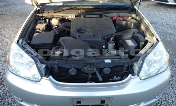 Acheter Occasion Voiture Toyota MarkII Autre à Wabag, Enga Acheter Occasion Voiture Toyota MarkII Autre à Wabag, Enga