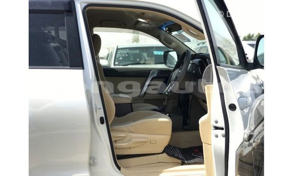 Buy Import Toyota Prado White Car in Import - Dubai in Enga Buy Import Toyota Prado White Car in Import - Dubai in Enga