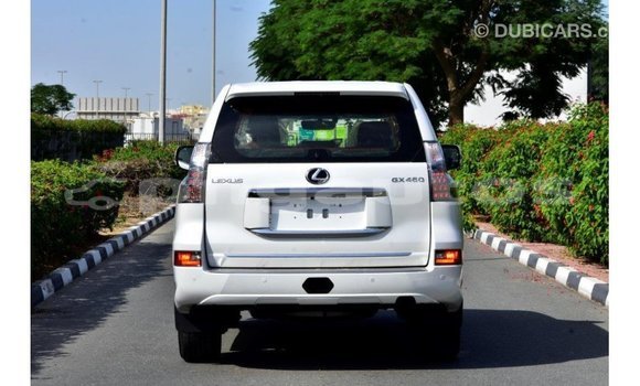 Buy Import Lexus GX White Car in Import - Dubai in Enga Buy Import Lexus GX White Car in Import - Dubai in Enga