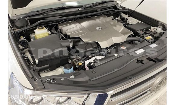 Buy Import Toyota Land Cruiser White Car in Import - Dubai in Enga Buy Import Toyota Land Cruiser White Car in Import - Dubai in Enga