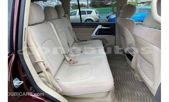 Buy Import Toyota Land Cruiser Red Car in Import - Dubai in Enga Buy Import Toyota Land Cruiser Red Car in Import - Dubai in Enga