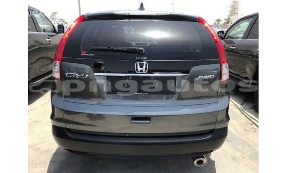 Buy Import Honda C Other Bike in Import - Dubai in Enga Buy Import Honda C Other Bike in Import - Dubai in Enga