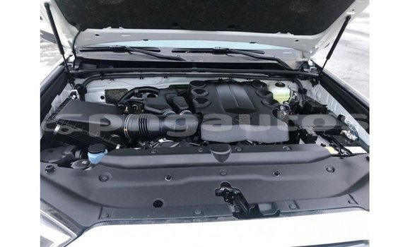 Buy Import Toyota 4Runner White Car in Import - Dubai in Enga Buy Import Toyota 4Runner White Car in Import - Dubai in Enga