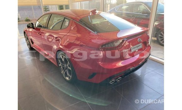 Buy Import Kia Stinger Red Car in Import - Dubai in Enga Buy Import Kia Stinger Red Car in Import - Dubai in Enga