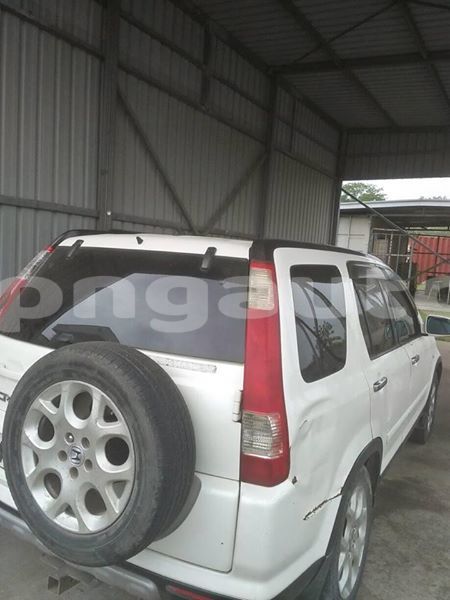 Big with watermark 42872930 1111737912319455 7567606266722254848 n