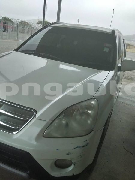 Big with watermark 42962869 1111737852319461 2577779864287313920 n