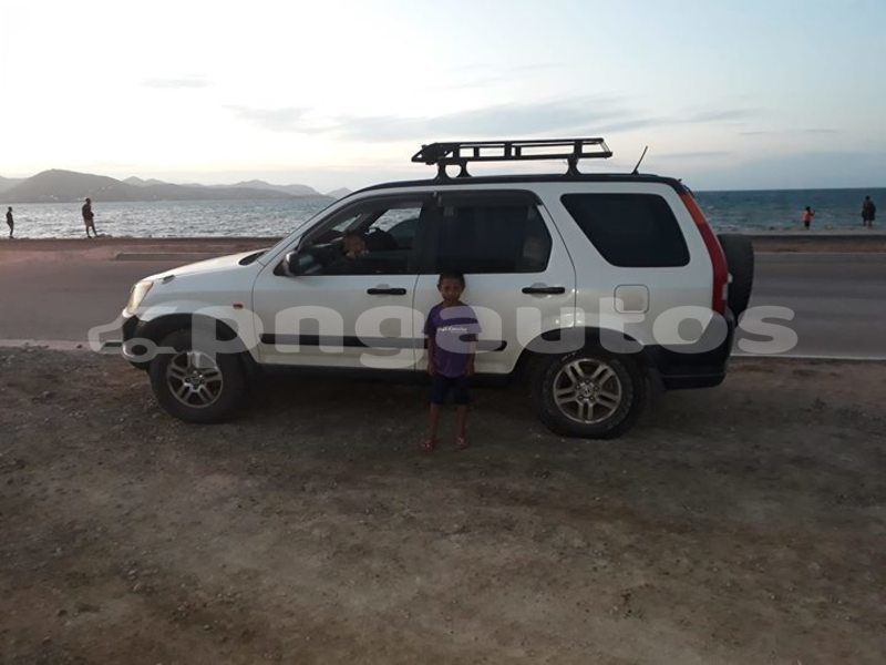 Big with watermark 42406293 385845032154176 4919764568030314496 o