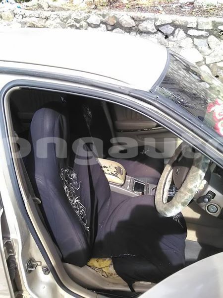 Big with watermark 42217614 1457179051092655 5153787655133069312 n