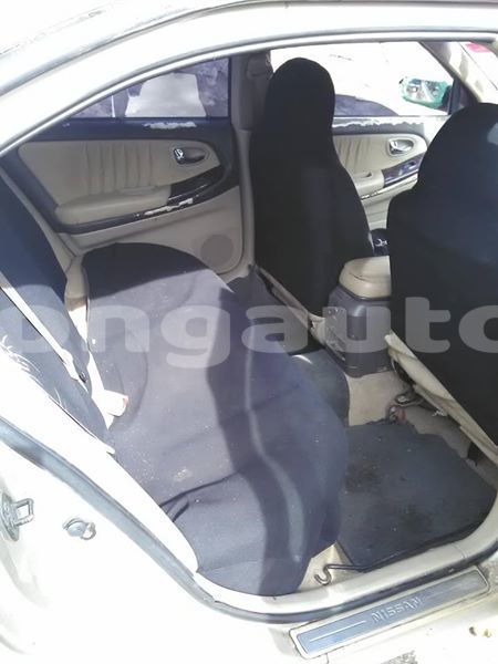 Big with watermark 42213371 1457178757759351 1244309341989765120 n