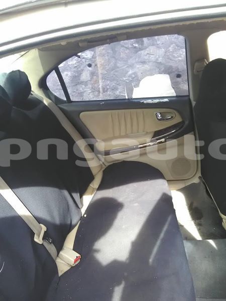 Big with watermark 42233079 1457178471092713 588018316023431168 n