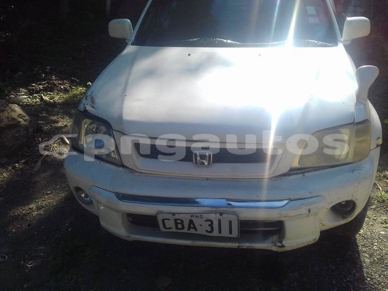 Big with watermark 42808516 1450880865056942 5259803597075382272 n