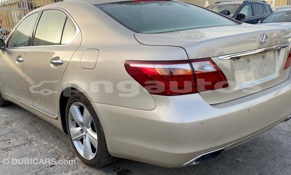 Buy Import Lexus LS Other Car in Import - Dubai in Enga Buy Import Lexus LS Other Car in Import - Dubai in Enga