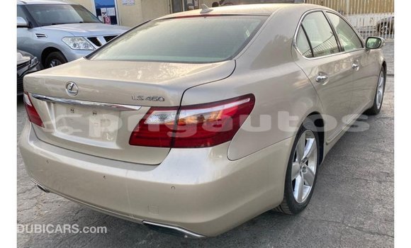 Buy Import Lexus LS Other Car in Import - Dubai in Enga Buy Import Lexus LS Other Car in Import - Dubai in Enga