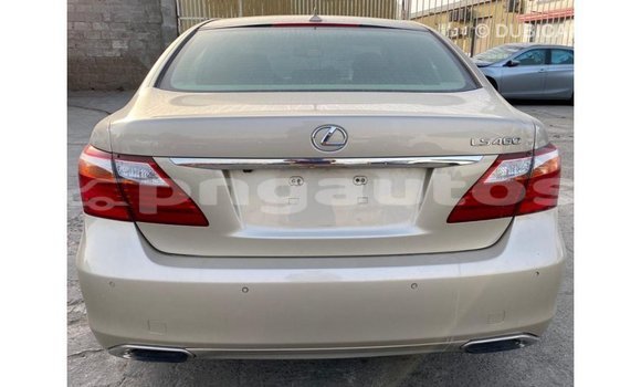 Buy Import Lexus LS Other Car in Import - Dubai in Enga Buy Import Lexus LS Other Car in Import - Dubai in Enga