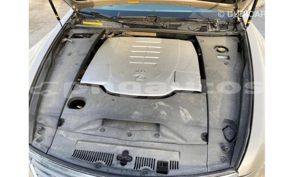 Buy Import Lexus LS Other Car in Import - Dubai in Enga Buy Import Lexus LS Other Car in Import - Dubai in Enga