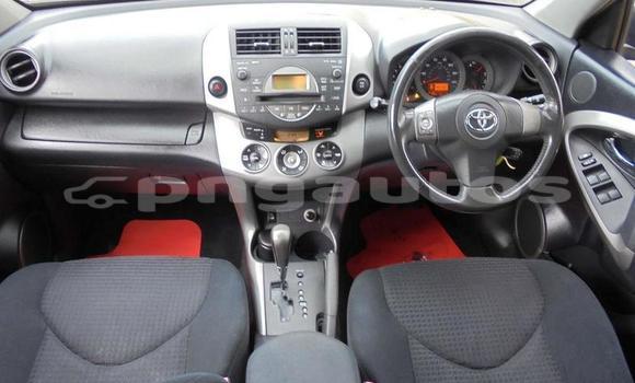 Buy Used Toyota RAV4 Other Car in Aiamback in Western (Fly) Buy Used Toyota RAV4 Other Car in Aiamback in Western (Fly)