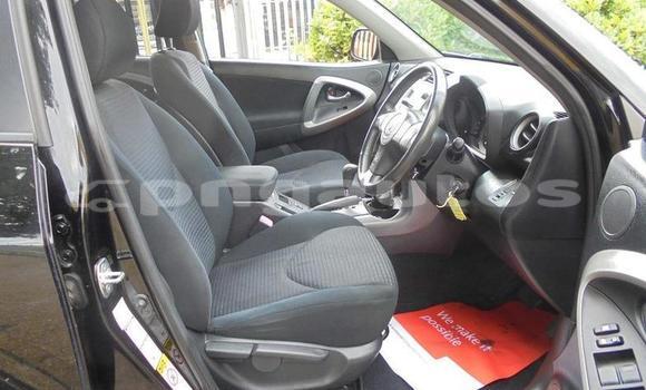 Buy Used Toyota RAV4 Other Car in Aiamback in Western (Fly) Buy Used Toyota RAV4 Other Car in Aiamback in Western (Fly)