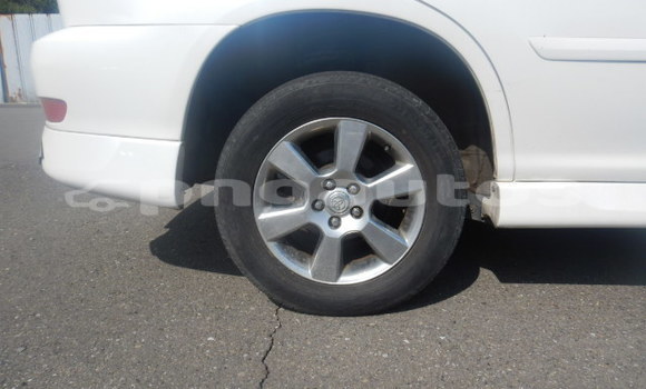Buy Used Toyota Harrier White Car in Port Moresby in National Capital District Buy Used Toyota Harrier White Car in Port Moresby in National Capital District