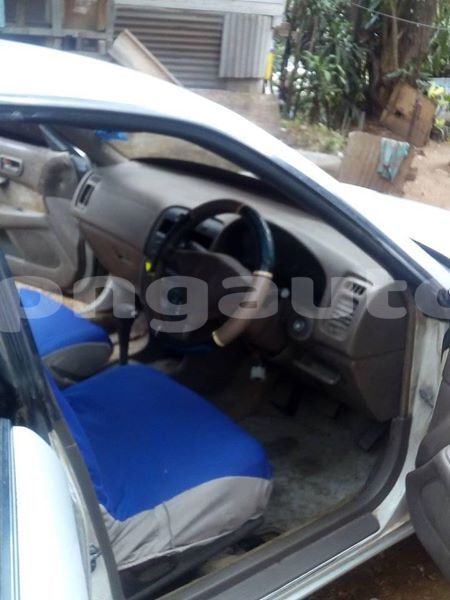 Big with watermark 40479087 1021213184717655 5811784435950944256 n