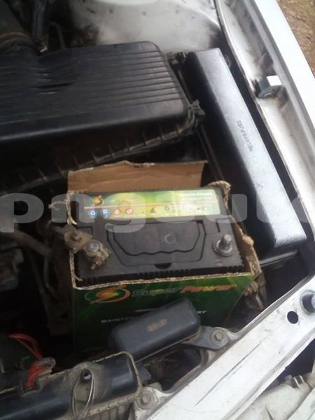 Big with watermark 40392616 1021212931384347 3679885738209443840 n