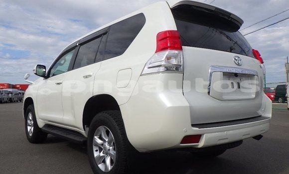 Buy Used Toyota Land Cruiser Prado White Car in Port Moresby in National Capital District Buy Used Toyota Land Cruiser Prado White Car in Port Moresby in National Capital District