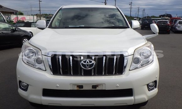 Buy Used Toyota Land Cruiser Prado White Car in Port Moresby in National Capital District Buy Used Toyota Land Cruiser Prado White Car in Port Moresby in National Capital District