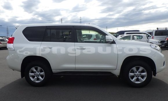 Buy Used Toyota Land Cruiser Prado White Car in Port Moresby in National Capital District Buy Used Toyota Land Cruiser Prado White Car in Port Moresby in National Capital District