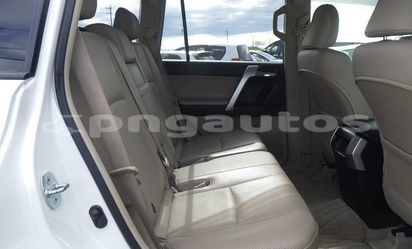 Buy Used Toyota Land Cruiser Prado White Car in Port Moresby in National Capital District Buy Used Toyota Land Cruiser Prado White Car in Port Moresby in National Capital District