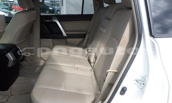 Buy Used Toyota Land Cruiser Prado White Car in Port Moresby in National Capital District Buy Used Toyota Land Cruiser Prado White Car in Port Moresby in National Capital District