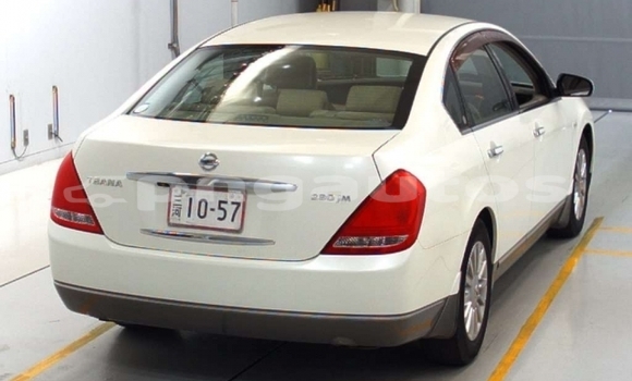 Buy Used Nissan Teana White Car in Port Moresby in National Capital District Buy Used Nissan Teana White Car in Port Moresby in National Capital District