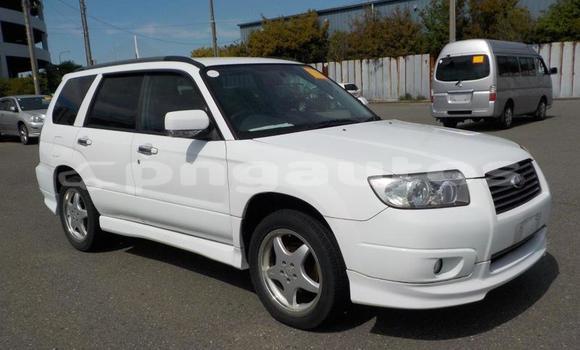 Buy Used Subaru Forester White Car in Port Moresby in National Capital District Buy Used Subaru Forester White Car in Port Moresby in National Capital District