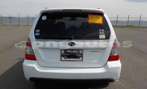 Buy Used Subaru Forester White Car in Port Moresby in National Capital District Buy Used Subaru Forester White Car in Port Moresby in National Capital District