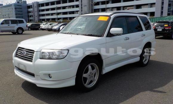 Buy Used Subaru Forester White Car in Port Moresby in National Capital District Buy Used Subaru Forester White Car in Port Moresby in National Capital District