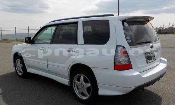 Buy Used Subaru Forester White Car in Port Moresby in National Capital District Buy Used Subaru Forester White Car in Port Moresby in National Capital District