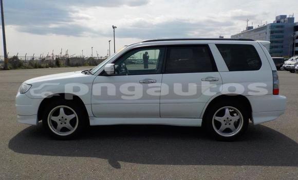 Buy Used Subaru Forester White Car in Port Moresby in National Capital District Buy Used Subaru Forester White Car in Port Moresby in National Capital District