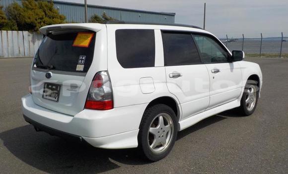 Buy Used Subaru Forester White Car in Port Moresby in National Capital District Buy Used Subaru Forester White Car in Port Moresby in National Capital District