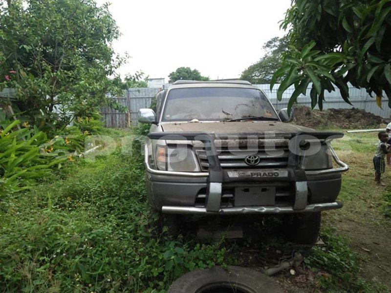 Big with watermark 43880438 271078696871079 5935256344754913280 o