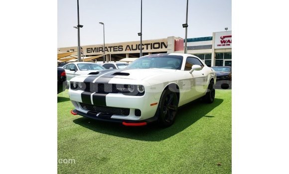 Buy Import Dodge Challenger White Car in Import - Dubai in Enga Buy Import Dodge Challenger White Car in Import - Dubai in Enga