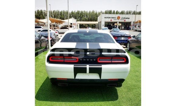 Buy Import Dodge Challenger White Car in Import - Dubai in Enga Buy Import Dodge Challenger White Car in Import - Dubai in Enga