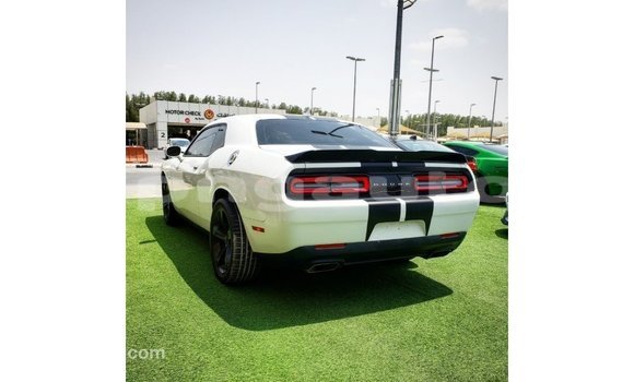Buy Import Dodge Challenger White Car in Import - Dubai in Enga Buy Import Dodge Challenger White Car in Import - Dubai in Enga