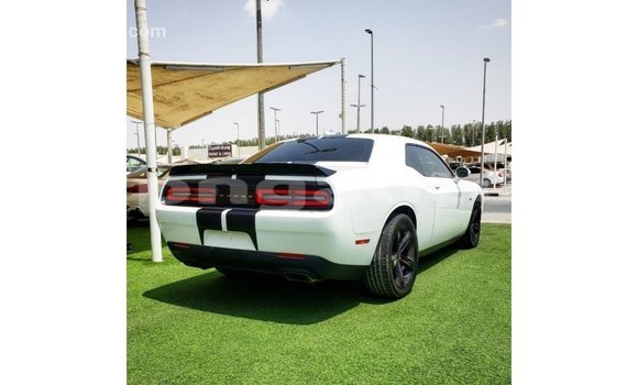 Buy Import Dodge Challenger White Car in Import - Dubai in Enga Buy Import Dodge Challenger White Car in Import - Dubai in Enga