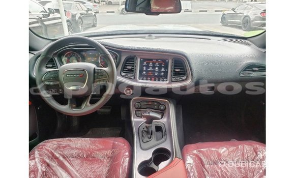 Buy Import Dodge Challenger White Car in Import - Dubai in Enga Buy Import Dodge Challenger White Car in Import - Dubai in Enga