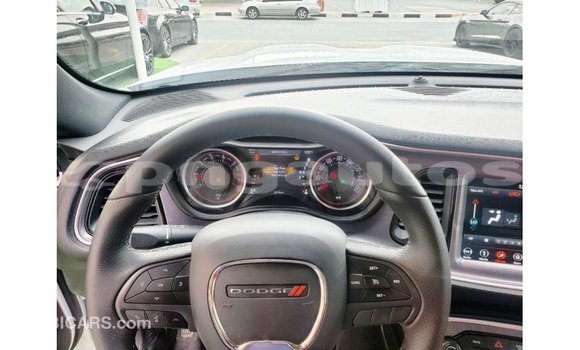 Buy Import Dodge Challenger White Car in Import - Dubai in Enga Buy Import Dodge Challenger White Car in Import - Dubai in Enga