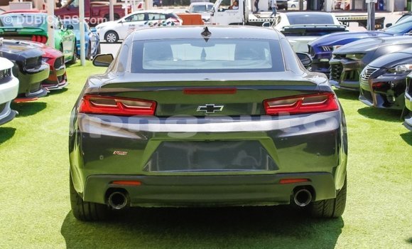 Buy Import Chevrolet Camaro Other Car in Import - Dubai in Enga Buy Import Chevrolet Camaro Other Car in Import - Dubai in Enga