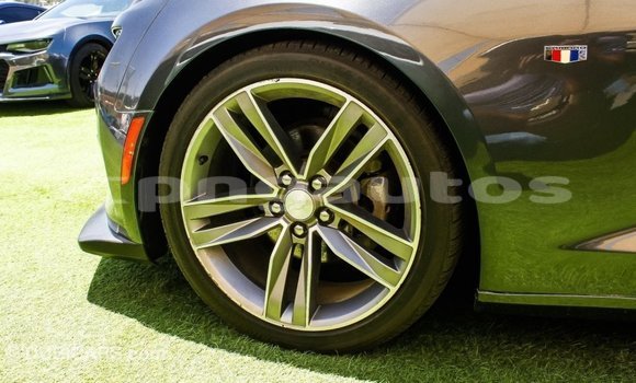 Buy Import Chevrolet Camaro Other Car in Import - Dubai in Enga Buy Import Chevrolet Camaro Other Car in Import - Dubai in Enga