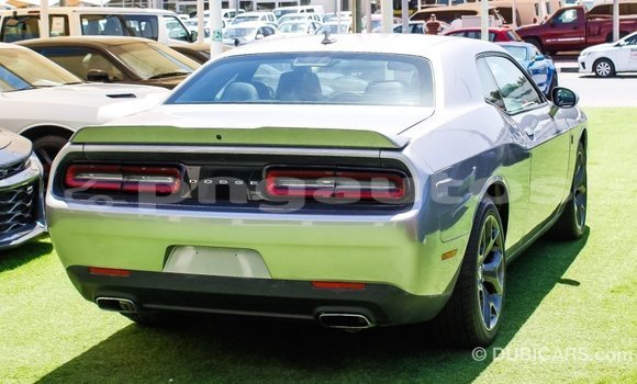 Buy Import Dodge Challenger Other Car in Import - Dubai in Enga Buy Import Dodge Challenger Other Car in Import - Dubai in Enga